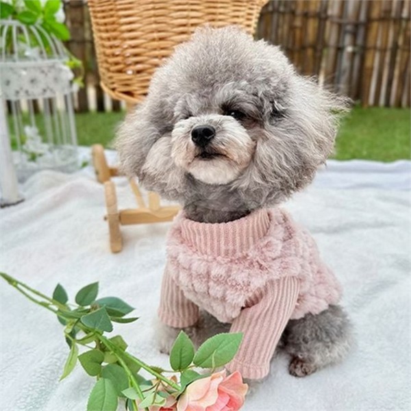스트라이프 반려동물 보온 티셔츠 소프트 강아지 복슬 티셔츠 베이직 - 상품 이미지
