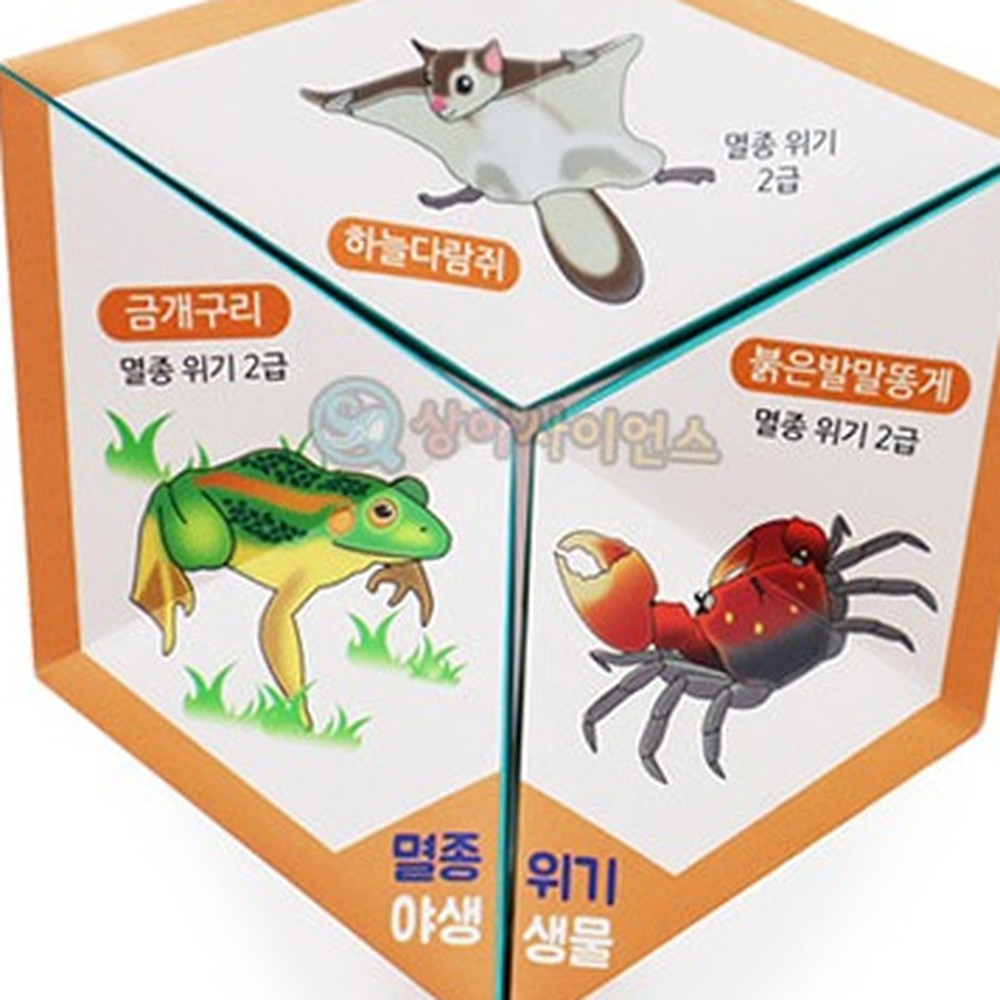DIY키트미술놀이만화경키트 만들기세트창의력발달만화경만들기 멸종위기동물칼레이도사이클 5인세트 - 상품 이미지