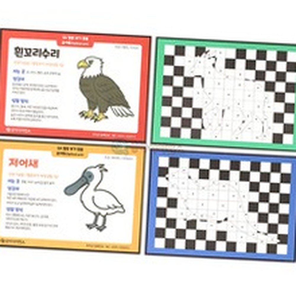 기하학패턴방과후수업미술키트 멸종위기동물과학놀이옵아트 시각착시STEAM교육착시아트 1인용 - 상품 이미지