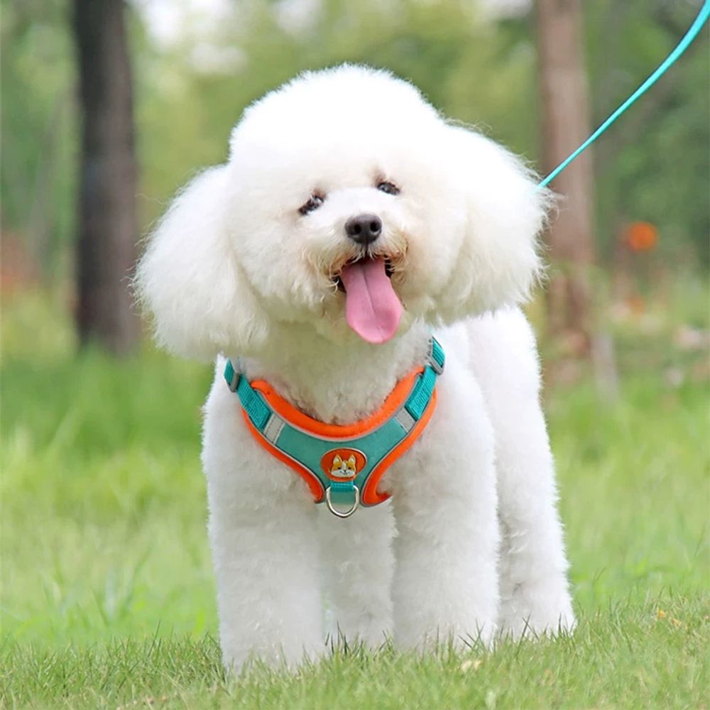 리드줄 소형견하네스 반사 강아지하네스조끼 - 상품 이미지