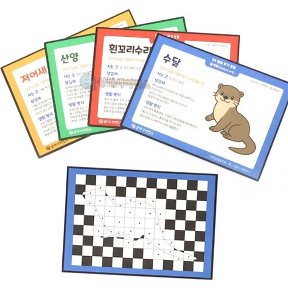 멸종위기동물만들기놀이옵아트 기하학패턴창의미술착시아트 시각착시생태교육미술키트 반복패턴 - 상품 이미지