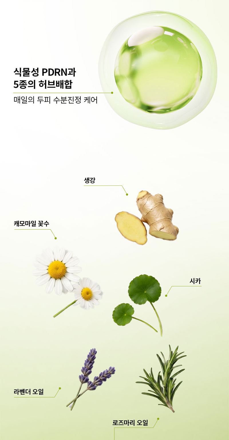 RYO Root:Gen Hair Loss Care Scalp Essence 80ml - description 10