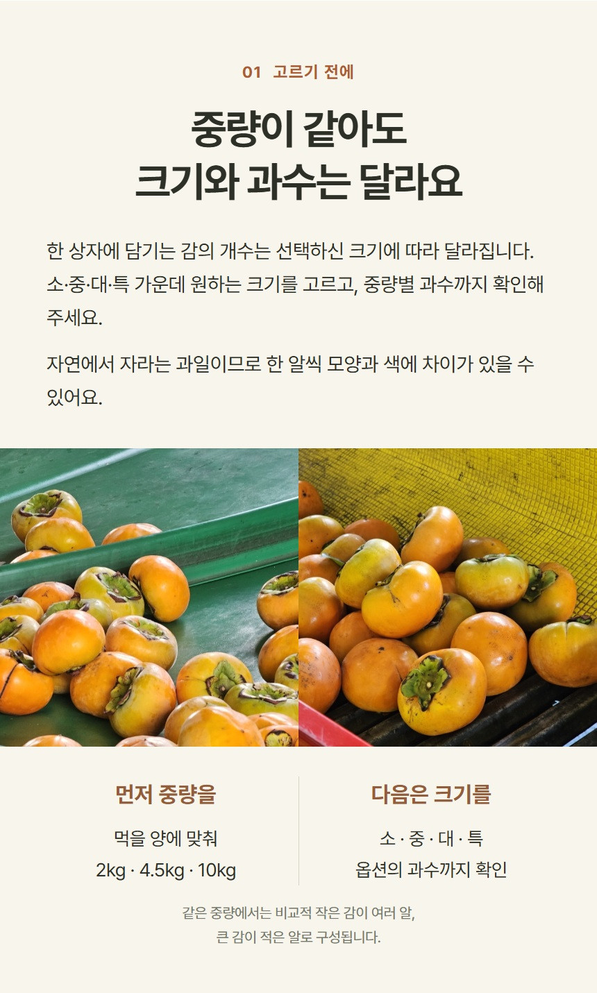 단감 참고 사진
