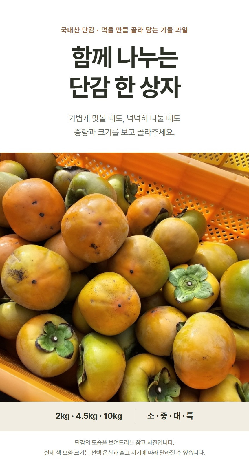 단감 참고 사진