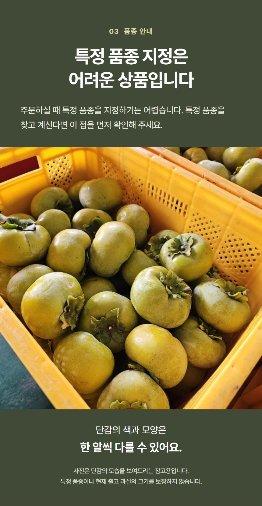단감 참고 사진