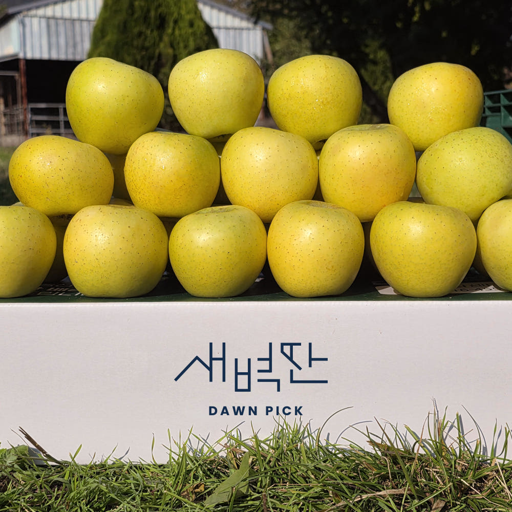 청송 시나노골드 사과 13Brix 이상 2kg 8260원