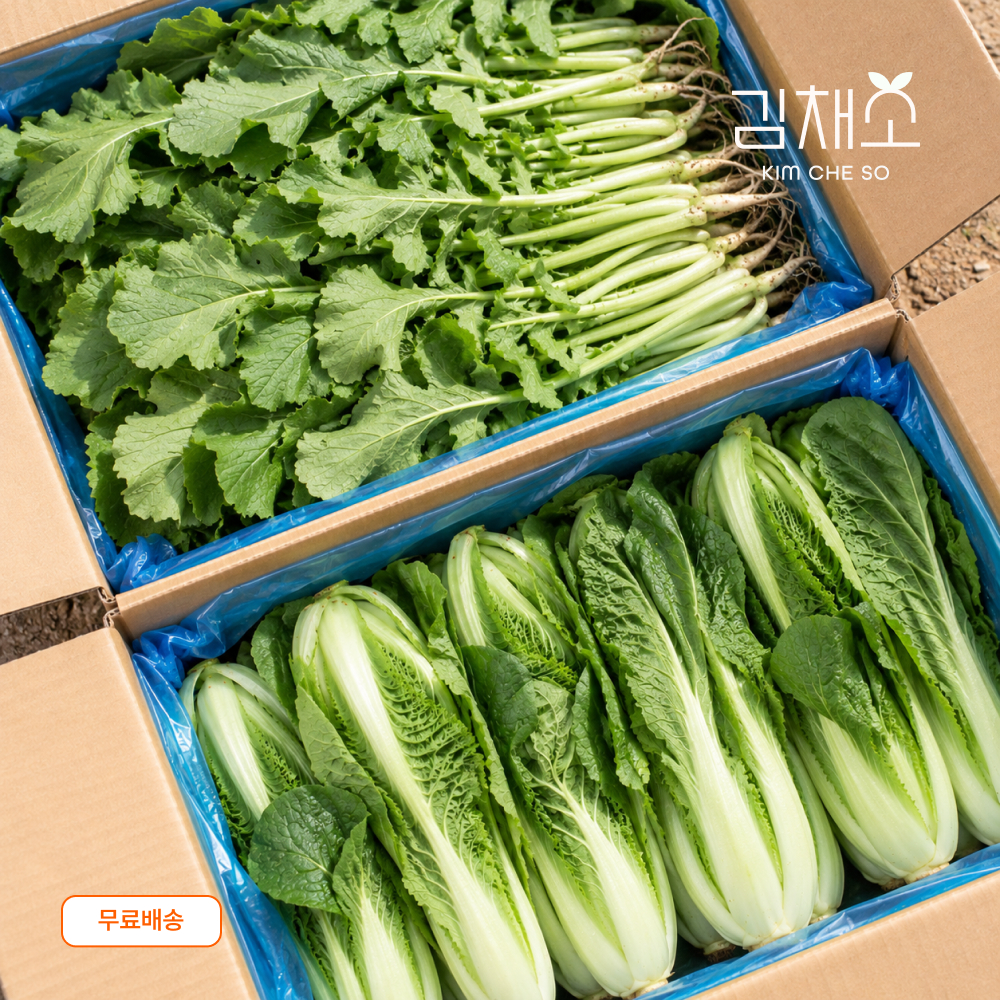열무 얼갈이 반반세트 4kg - 상품 이미지