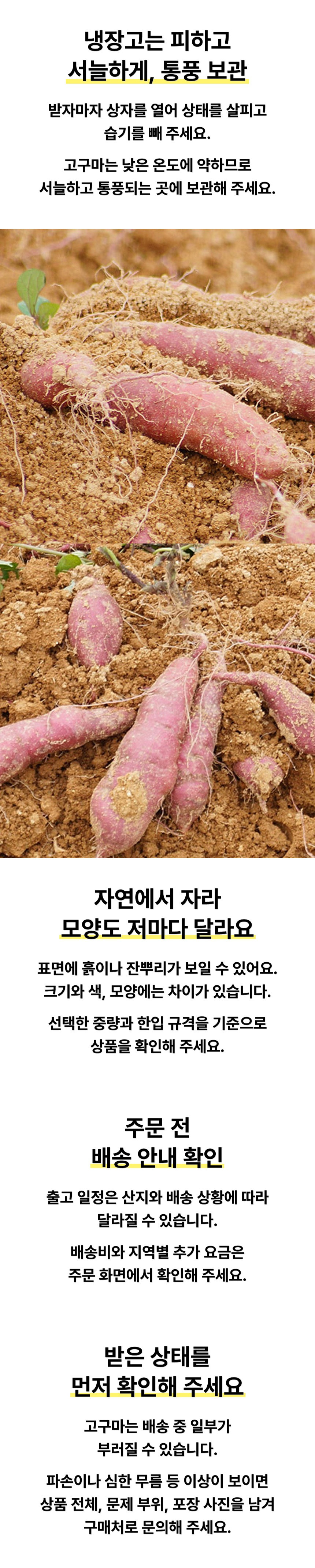 영암 황토밭 토울고구마 상품 상세 3