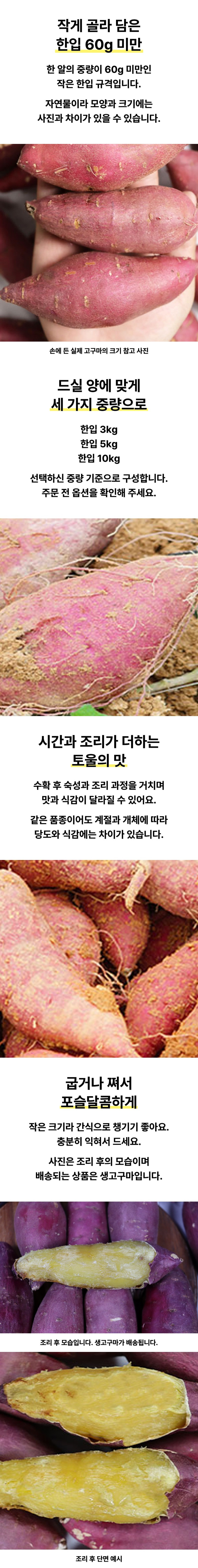 영암 황토밭 토울고구마 상품 상세 2