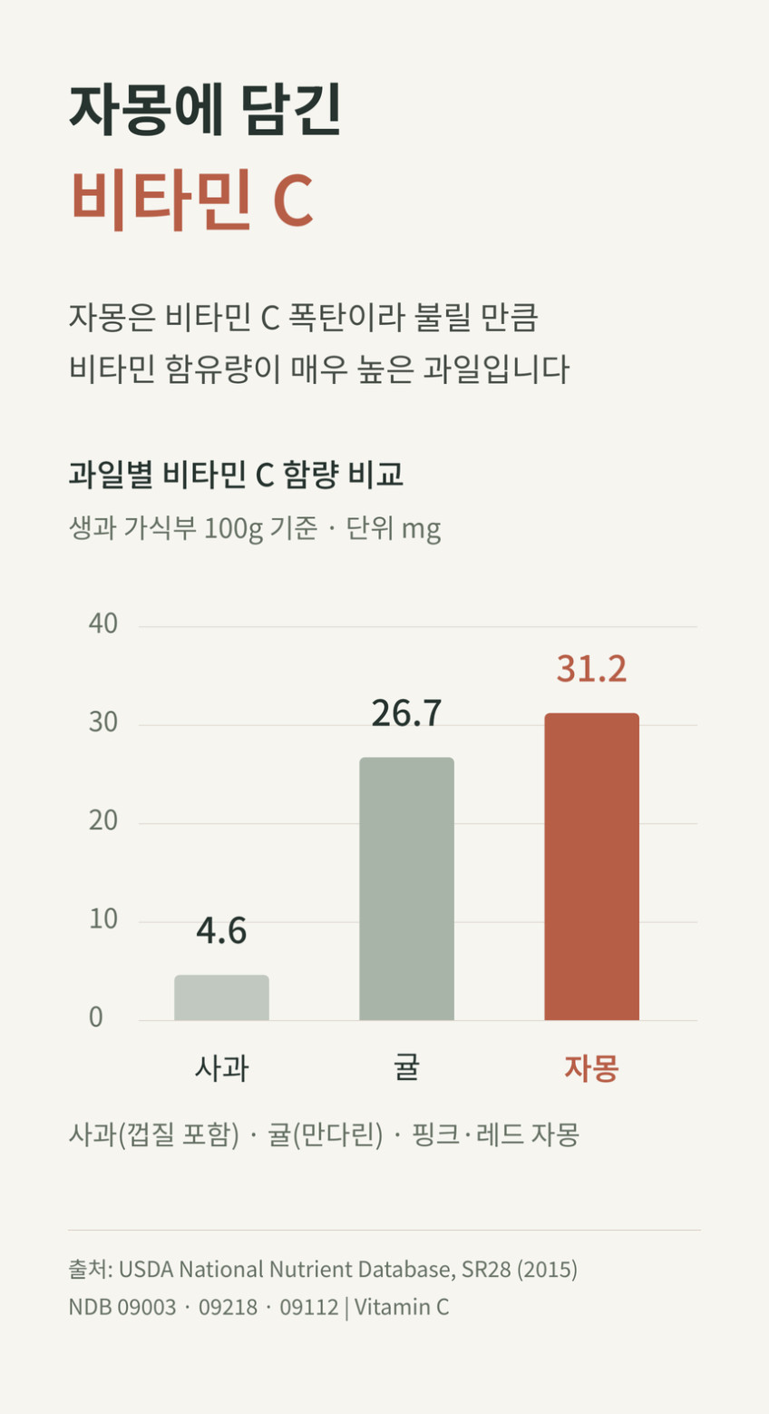 양배추몽 양배추자몽즙 상품 설명 14