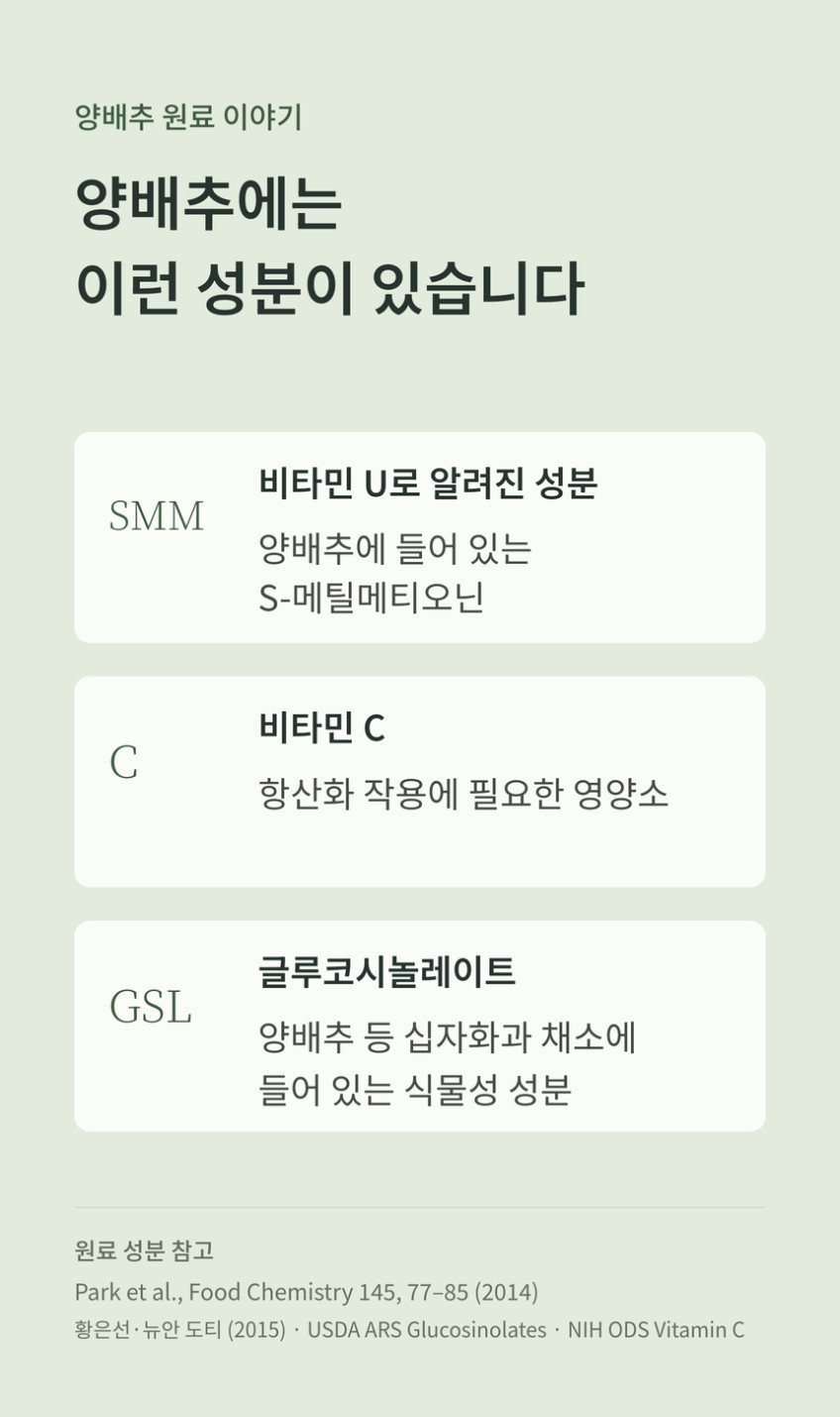 양배추몽 양배추자몽즙 상품 설명 17