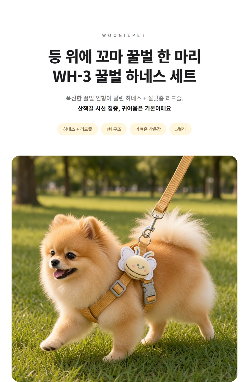상세 이미지