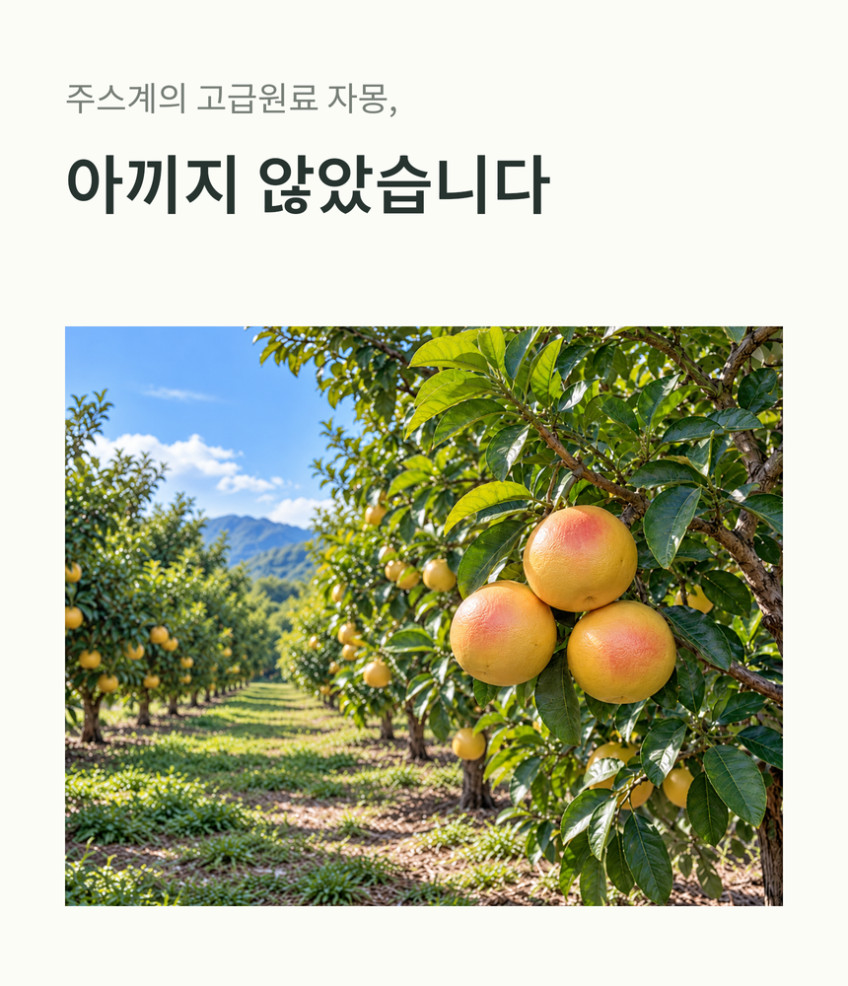 양배추몽 양배추자몽즙 상품 설명 11