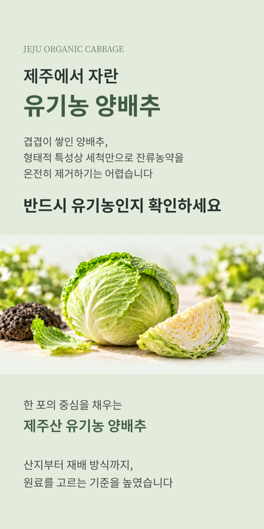 양배추몽 양배추자몽즙 상품 설명 15