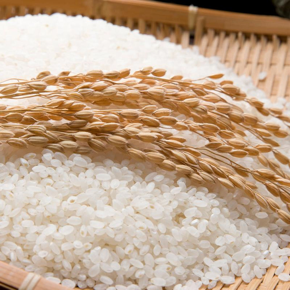 쌀 10kg 상등급(새청무)